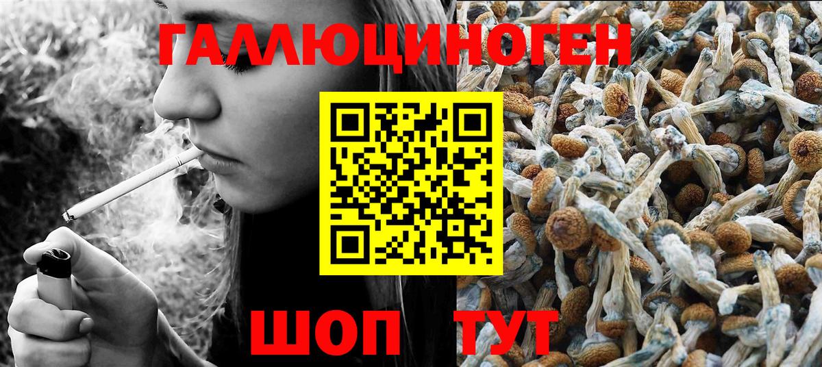 Псилоцибиновые грибы ЛСД Карпинск